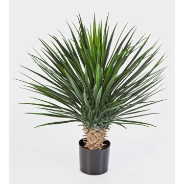 Konstgjord Yucca rostrata RAFFAELA, buskig, 80cm