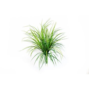 Konstgjort vassgräs ELIAS på pinne, grönt, 75cm Konstgjort vassgräs ELIAS på pinne, grönt, 75cm