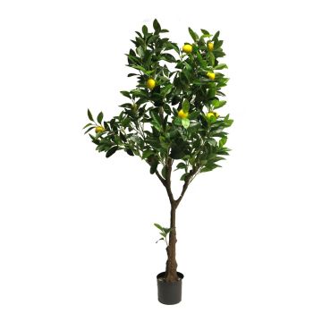 Konstgjord citronträd JINROU, konstgjord stam, frukter, 150cm Konstgjord citronträd JINROU, konstgjord stam, frukter, 150cm