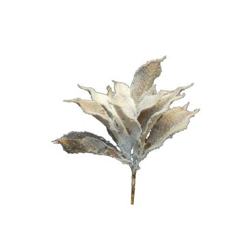 Konstgjord Agave pygmaea LUMIAO, snötäckt, med stödpinne, krämbeige, 35cm