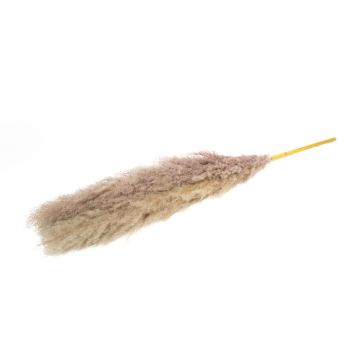 Torkad bukett med pampasgräs ANIAMI, gråbeige, 130-140cm, Ø20cm Torkad bukett med pampasgräs ANIAMI, gråbeige, 130-140cm, Ø20cm