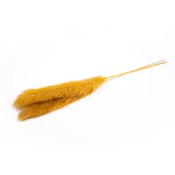 Torkad bukett med pampasgräs ANIAMI, orange-gul, 130-140cm, Ø20cm