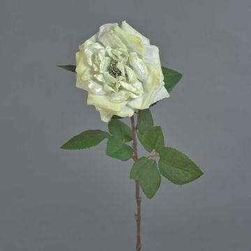 Samtrosa YUFAN, krämfärgad, 65cm, Ø15cm