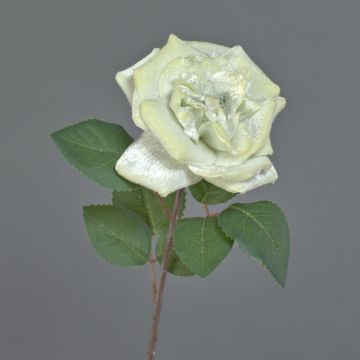 Samtrosa YUFAN, krämfärgad, 45cm, Ø13cm