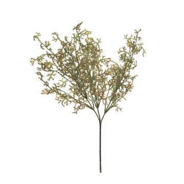 Dekorativ kvist av Asparagus acutifolius CHENMU, grön-röd, 50cm
