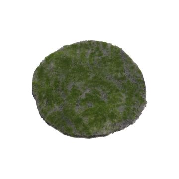 Rund dekorativ mossa-matta FANGYU, grön, Ø30cm Rund dekorativ mossa-matta FANGYU, grön, Ø30cm