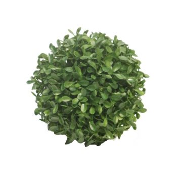 Konstgjord buxbomskula FRITZ, plastgaller, crossdoor, Ø13cm Konstgjord buxbomskula FRITZ, plastgaller, crossdoor, Ø13cm