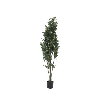 Plastic Schefflera PAMINA, artificial stems, green-white, 4ft/120cm Plastic Schefflera PAMINA, artificial stems, green-white, 4ft/120cm