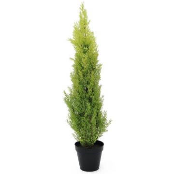 Plastcypress MINNA, i kruka, crossdoor, ljusgrön, 90cm Plastcypress MINNA, i kruka, crossdoor, ljusgrön, 90cm