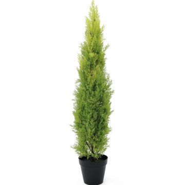 Plastcypress MINNA, i kruka, crossdoor, ljusgrön, 120cm Plastcypress MINNA, i kruka, crossdoor, ljusgrön, 120cm
