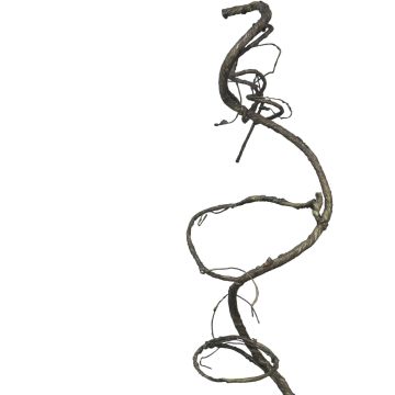 Konstgjord liana humle SULING, brun, 90cm
