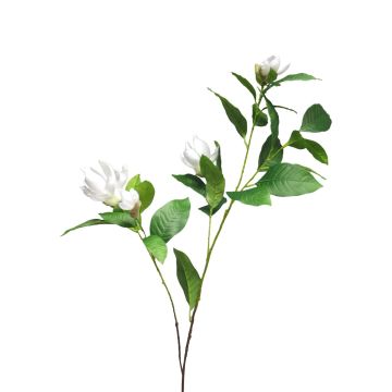 Konstgjord gren Magnolia HUANER, vit, 130cm Konstgjord gren Magnolia HUANER, vit, 130cm