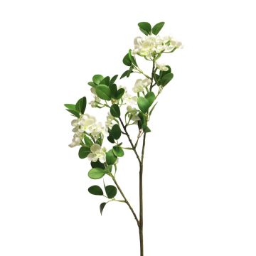 Konstgjord blomkvist, syren FEIYAN, krämfärgad, 65cm Konstgjord blomkvist, syren FEIYAN, krämfärgad, 65cm