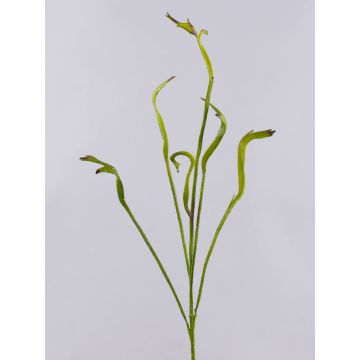 Konstgjord drakpilkvist ADELFOS, grön, 85cm Konstgjord drakpilkvist ADELFOS, grön, 85cm