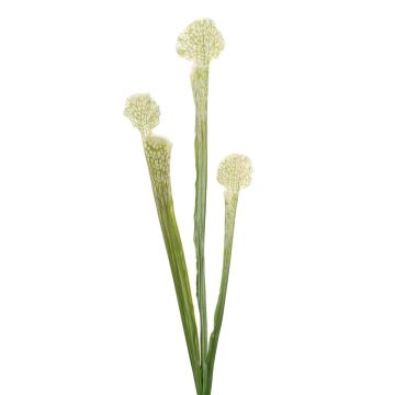 Konstgjord suckulent Sarracenia SIMANA på pinne, vitgrön, 65cm