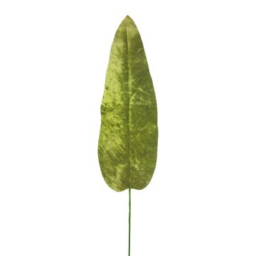 Sammetbananblad AOXUE, grönt, 70cm