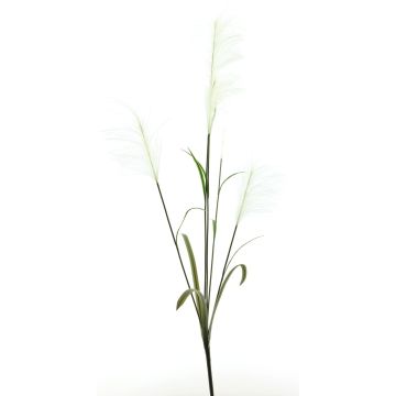 Konstgjord gren av pampasgräs LINEN med ax, vit, 145cm