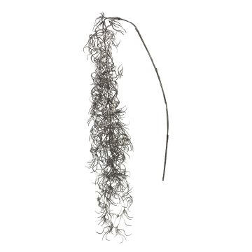 Konstgjord kvist Asparagus Sprengeri KEZHENG, brun, 120cm