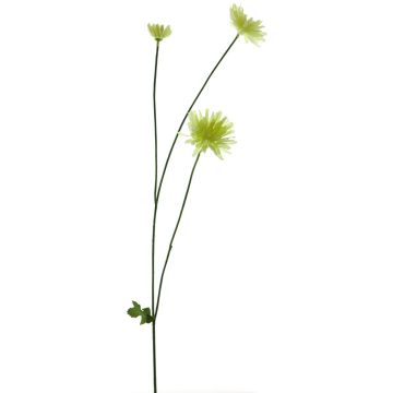 Konstblomma krysantemum YUNJUAN, krämfärgad, 60cm