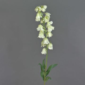 Konstblomma, blåklocka LINMIN, krämfärgad, 95cm, Ø3-5cm Konstblomma, blåklocka LINMIN, krämfärgad, 95cm, Ø3-5cm