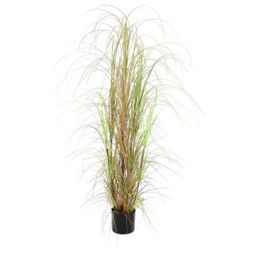 Plastvass ERWINA, grönbrunt, 150cm Plastvass ERWINA, grönbrunt, 150cm