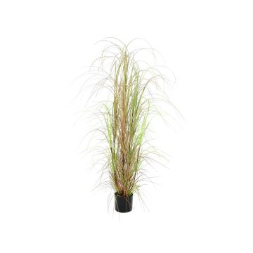 Plastvass ERWINA, grönbrunt, 150cm Plastvass ERWINA, grönbrunt, 150cm