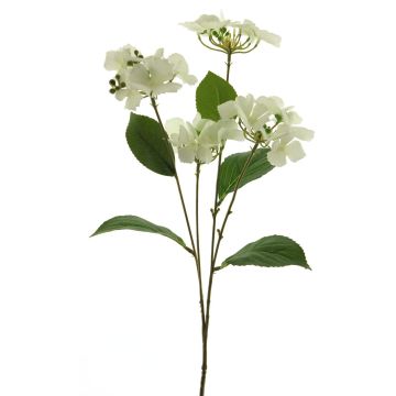 Konstgjord hortensia PINNIAN, vit, 70cm, Ø9-10cm Konstgjord hortensia PINNIAN, vit, 70cm, Ø9-10cm
