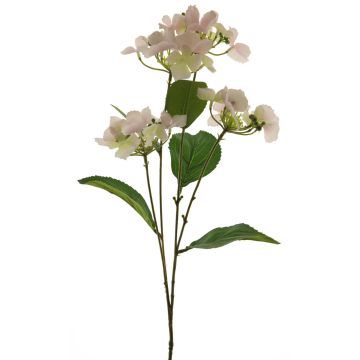 Konstgjord hortensia PINNIAN, blekrosa-krämfärgad, 70cm, Ø9-10cm Konstgjord hortensia PINNIAN, blekrosa-krämfärgad, 70cm, Ø9-10cm