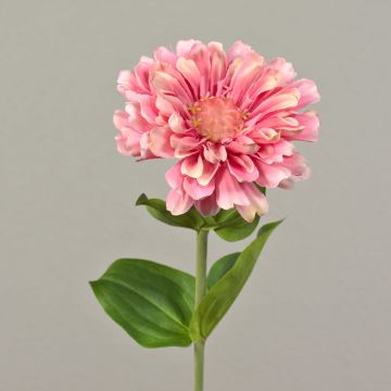 Konstblomma zinnia MIANMO, rosa, 55cm, Ø13cm Konstblomma zinnia MIANMO, rosa, 55cm, Ø13cm