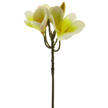 Konstblomma frangipani ZIDONG, gul-krämfärgad, 35cm Konstblomma frangipani ZIDONG, gul-krämfärgad, 35cm