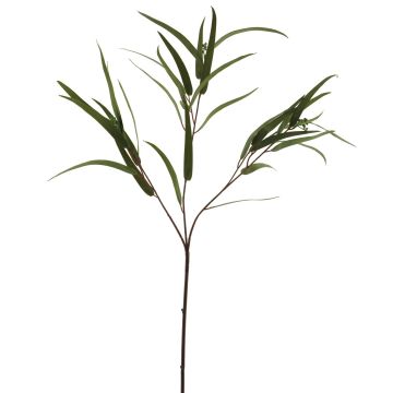 Dekorativ eukalyptusgren ZIYUMU med frön, grön, 80cm