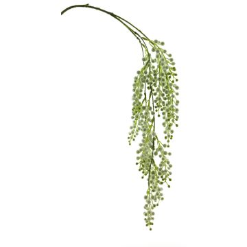 Konstgjord mimosa-gren CHENWU, blommor, vit-grön, 75cm Konstgjord mimosa-gren CHENWU, blommor, vit-grön, 75cm