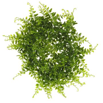 Dekorativ krans av knoppfarn CHENTA, grön, Ø40cm Dekorativ krans av knoppfarn CHENTA, grön, Ø40cm