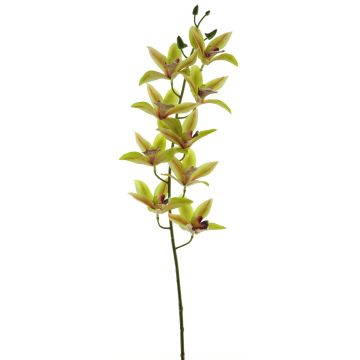 Dekorativ gren med Cymbidium-orkidé YAMEI, grön-cerise, 80cm, Ø8-9cm Dekorativ gren med Cymbidium-orkidé YAMEI, grön-cerise, 80cm, Ø8-9cm
