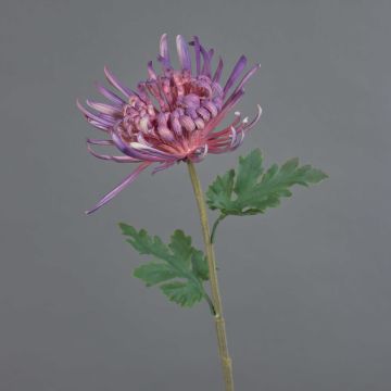 Dekorationsblomma krysantemum YASULI, lila-mauve, 70cm, Ø18cm