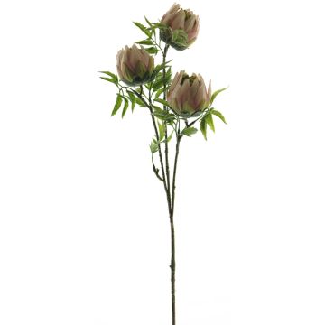 Konstblomma, protea-gren LIUJIA, rosa-grön, 75cm Konstblomma, protea-gren LIUJIA, rosa-grön, 75cm