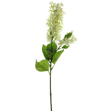 Konstblomma syren NAJUAN, krämfärgad, 80cm, Ø6-8cm Konstblomma syren NAJUAN, krämfärgad, 80cm, Ø6-8cm
