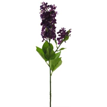 Konstblomma syren NAJUAN, mörklila, 80cm, Ø6-8cm Konstblomma syren NAJUAN, mörklila, 80cm, Ø6-8cm