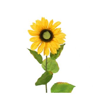 Plastsolros DORINA, gul, 70cm, Ø12cm Plastsolros DORINA, gul, 70cm, Ø12cm