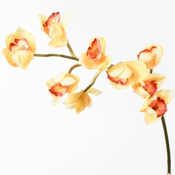 Plastgren med Cymbidium-orkidé OKSANA, gul, 80cm, Ø6,5cm