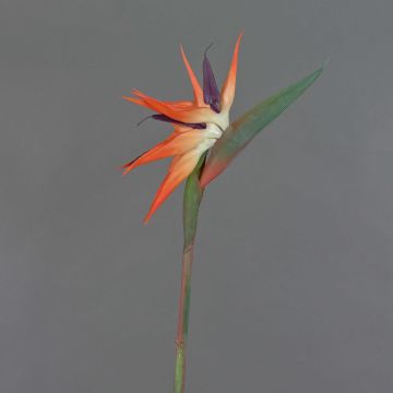 Plastpapegojblomma ZAMIRA, orange-violett, 95cm, 16x32cm Plastpapegojblomma ZAMIRA, orange-violett, 95cm, 16x32cm