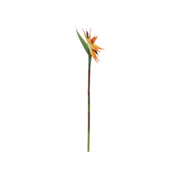 Plastpapegojblomma ZAMIRA, orange-violett, 95cm, 16x32cm