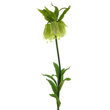 Konstgjord blomma kejsarkrona YATAO, krämgrön, 120cm Konstgjord blomma kejsarkrona YATAO, krämgrön, 120cm
