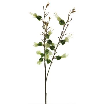 Konstgjord blomkvist Gråtande hjärta YANRAN, vit-grön, 80cm Konstgjord blomkvist Gråtande hjärta YANRAN, vit-grön, 80cm