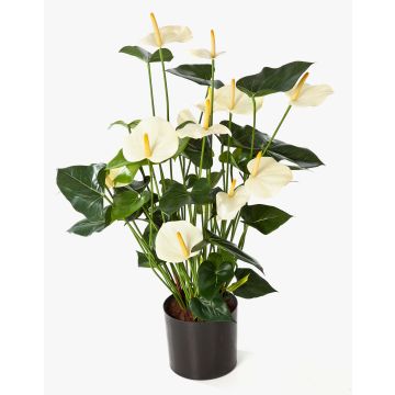 Konstblomma Anthurium LEVANA, krämfärgad, 80cm, 8x10cm Konstblomma Anthurium LEVANA, krämfärgad, 80cm, 8x10cm