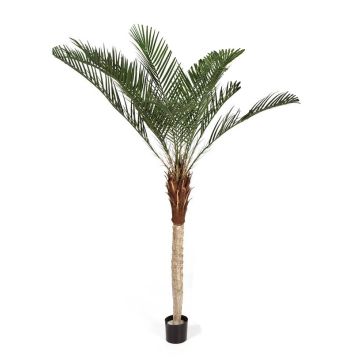 Konstgjord fenixpalm ELITON, 180cm
