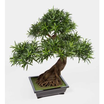 Konstgjord bonsai Podocarpus MASAO med rötter, i keramikskål, 85cm Konstgjord bonsai Podocarpus MASAO med rötter, i keramikskål, 85cm