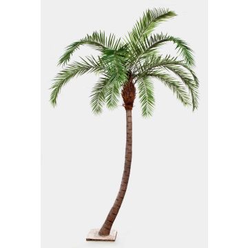 Konstgjord fenixpalm HARPER, 390cm Konstgjord fenixpalm HARPER, 390cm