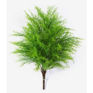 Konstgjord Asparagus plumosus SUSANNA, stödpinne, 60cm, Ø48cm