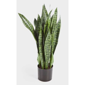 Konstgjord Sansevieria BEYZA, grön, 80cm Konstgjord Sansevieria BEYZA, grön, 80cm
